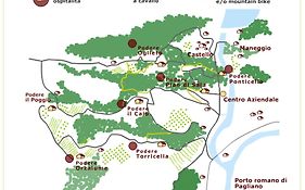 Tenuta Di Corbara