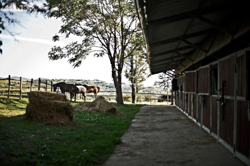 Tenuta Di Corbara Corbara  Extérieur photo