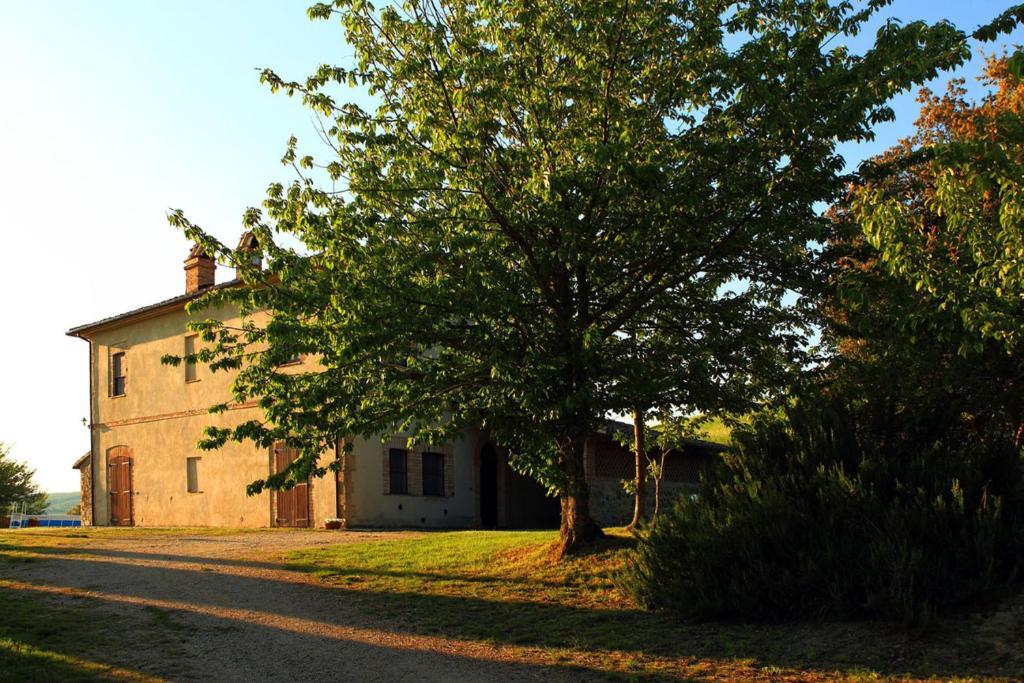 Tenuta Di Corbara Corbara  Chambre photo