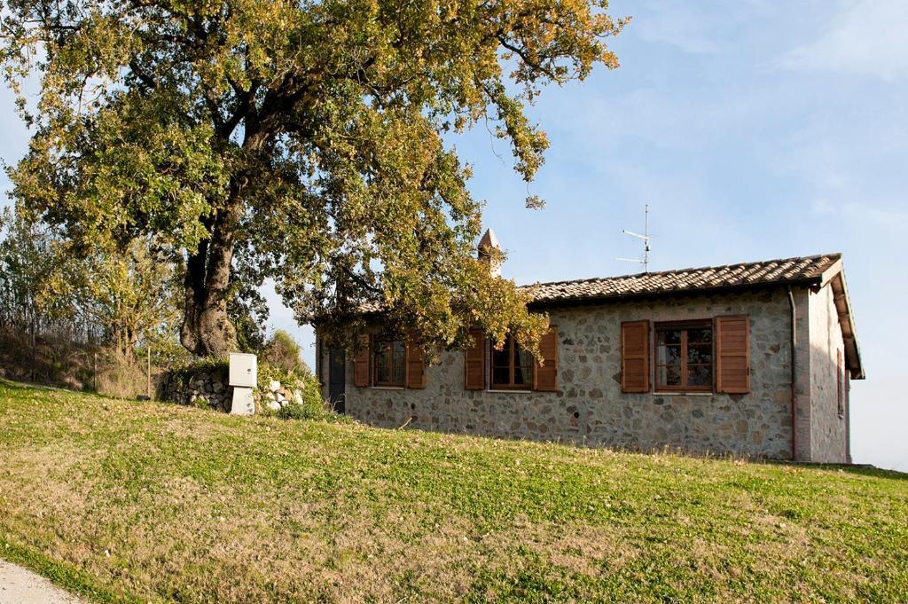 Tenuta Di Corbara Corbara  Extérieur photo